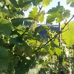 Panoramablick * Lieser