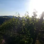 Panoramablick - Waldrandnaehe - Weitblick - Ostbalkon Und Suedloggia Lieser