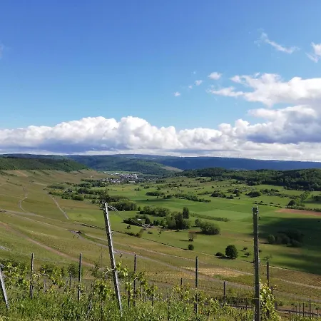 Panoramablick - Waldrandnähe - Weitblick - Ostbalkon Und Südloggia