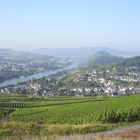 Panoramablick - Waldrandnaehe - Weitblick - Ostbalkon Und Suedloggia דירה