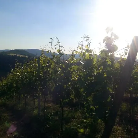 Panoramablick - Waldrandnähe - Weitblick - Ostbalkon Und Südloggia Lieser