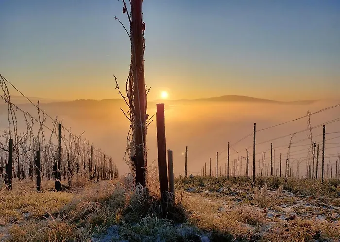 Apartamento Panoramablick Lieser