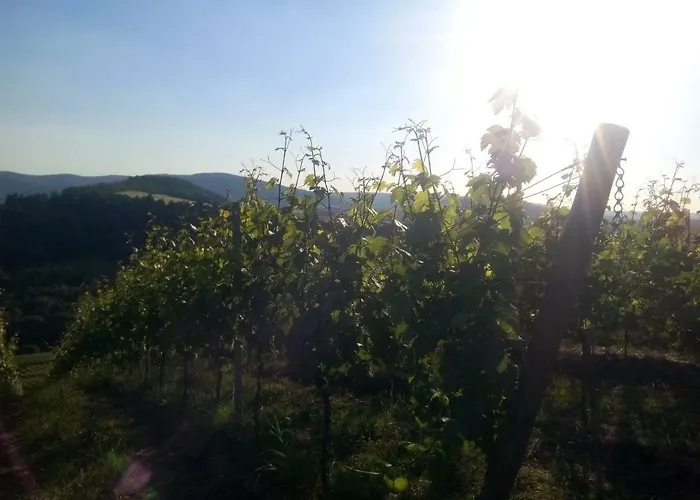 Panoramablick Lieser